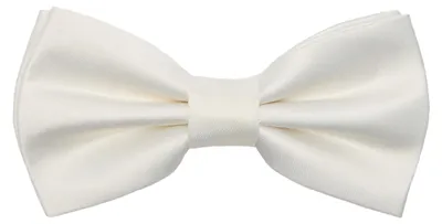 Produktbild von Ladeheid Herren Schmale Herrenfliege M (12cm x 6cm)