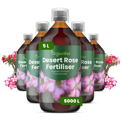 Produktbild von Wüstenrosen Flüssigdünger 5x1L – 2-1-8 NPK – Flüssigdünger Für Sukkulenten – Für Blätter & Üppige Blüte – Fördert Wurzeln & Vitalität – Organifer