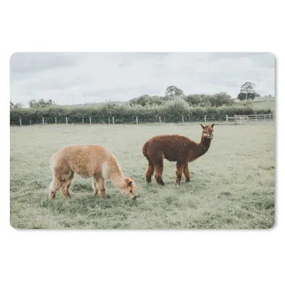 Produktbild von MuchoWow® Mauspad Mousepad Alpakas - Tiere - Gras 27x18 cm - Mousepads - Maus Mat - Pad - Mausunterlage - Büroartikel - Desk Matten