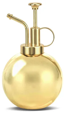 Pflanzensprüher 500 ml, Edelstahl, Drucksprüher für Zimmerpflanzen