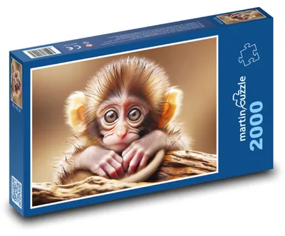 Obrázek produktu pro martinpuzzle - Puzzle 2000 - Malá opice