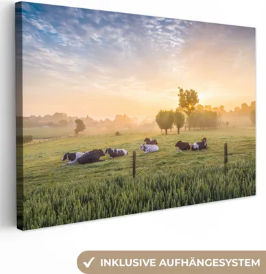 Obrázok produktu pre MuchoWow® - Plátno - Krava - Slnko - Tráva, nástenný obraz, nástenné dekorácie obrazy obývacia izba, 120x80cm