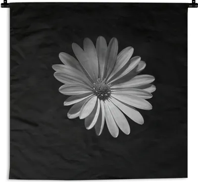 Produktbild von MuchoWow® Wandteppich Wandbehang Ein weißes Gänseblümchen auf schwarzem Hintergrund 90x90 cm Tapisserie Dekoration Wandtuch - Wandaufhänger