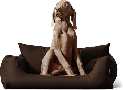 Produktbild von tierlando NEMO Hundebett Hundesofa S M L Hundekorb Katzenbett 65 80 100cm - Größe: 65x50cm | Farbe: 01 Braun