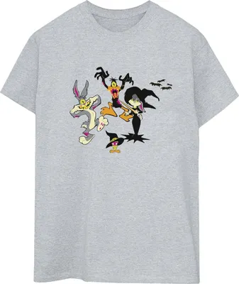 Produktbild von Looney Tunes - T-Shirt für Damen BI33847 (XXL) (Grau)