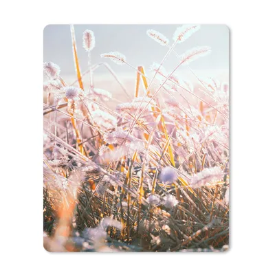 Produktbild von MuchoWow® Mauspad Mousepad Gras - Sonne - Winter - Schnee 30x40 cm - Mousepads - Maus Mat - Pad - Mausunterlage - Mausmatten