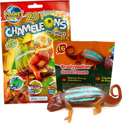 Produktbild von Blue Ocean Chamäleons Sammelfiguren 2024 - Planet Wow - Figur 16. Knysna Zwergchamäleon
