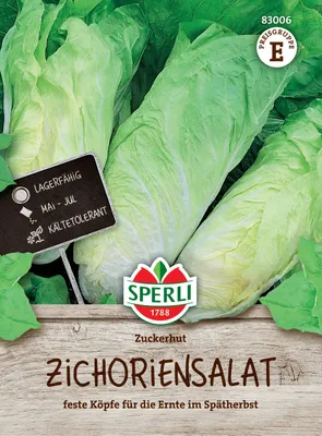 Produktbild von SPERLI Zichoriensalatsamen Zuckerhut Cichorium intybus 180 Pflanzen
