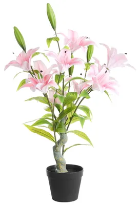 Produktbild von BELIANI Kunstpflanze Rosa aus Kunststoff 85 cm Lilie Handgefertigt Indoor Künstliche Pflanze Wohnaccessoires Dekoration