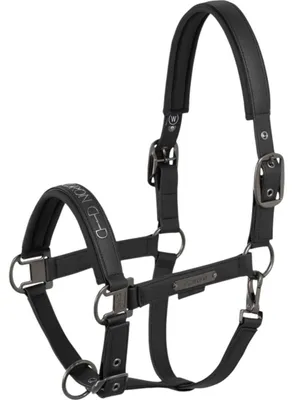 Produktbild von Eskadron Halfter Faux Leather Double Pin black Platinum 2025, Größe:V