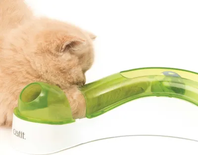 Immagine prodotto di Catit Senses 2.0 Super Circuit | Pista da gioco per gatti