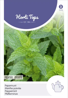 Produktbild von Pfefferminze | Minzesamen von Hortitops
