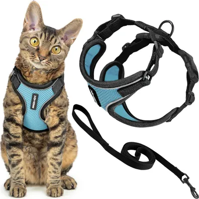 Image de Harnais et laisse pour chat antiefraction, ensemble avec coutures réfléchissantes