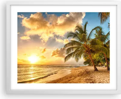 Produktbild von Gerahmtes Poster - Weißer Rahmen - Strand Meer Palme - 50x40 cm - Wand Bild - Wanddeko - Wandbilder - Kunstposter - Wandposter - Bilderrahmen - Bilder - Kunstdruck - Wandbild - P2WAA50x40-3606