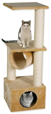 Image de MAGIC CAT Tamara beige 109 cm 1 pc