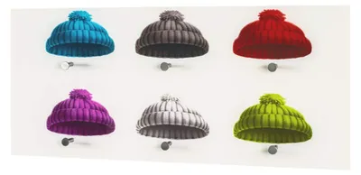 Produktbild von Wandhaken aus Sicherheitsglas mit 6 Edelstahlhaken