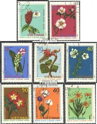 Produktbild von Briefmarken Vietnam 1975 Mi 795-802 (kompl.Ausg.) gestempelt Heilpflanzen