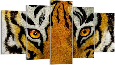 Produktbild von Bild auf Leinwand - Leinwandbild - Tiger Tiere Natur Safari - 160x85cm - Wand Bild - Wanddeko - Leinwanddruck - Bilder - Kunstdruck - Wanddekoration - Leinwand bilder - Wandkunst - EA160x85-1549