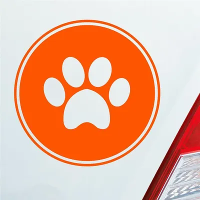 Produktbild von Auto Aufkleber Pfote Paw Dog Hund Tier Haustier Abdruck 10x10 cm Orange Sticker Heckscheibenaufkleber
