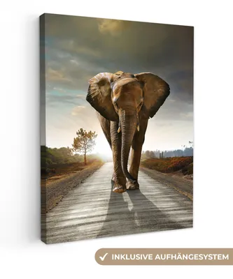 Obrázek produktu pro OneMillionCanvasses® - Obraz na plátně - Slon - Ulice - Zvířata - Západ slunce - Krajina, nástěnná malba, nástěnné dekorace obrazy obývací pokoj, 90x120cm