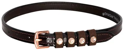 Produktbild von Imperial Riding Pardouz Sporenriemen One Size