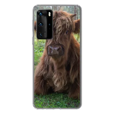 Produktbild von MuchoWow® Handyhülle Schutzhülle Hülle für Huawei P40 Pro Schottischer Highlander - Kröte - Tiere Silikon Softcase Handy Hülle - Schutz
