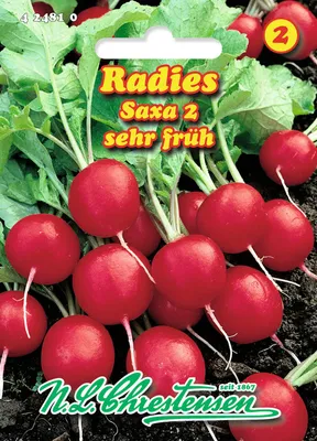 Produktbild von Radies Saxa 2 | Radieschensamen von N.L. Chrestensen