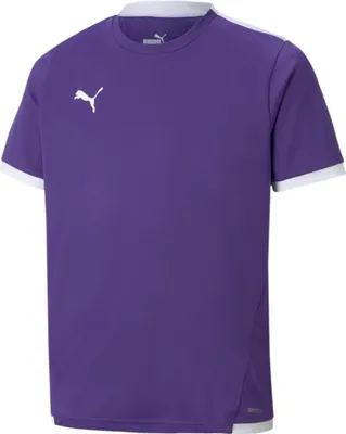Image de Puma T-shirt JR Teamliga Jersey, 70492510, Pointure: 140