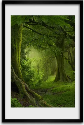 Produktbild von Bild - Bilderrahmen - 40 cm x 60 cm - MDF - Rahmen - Wandkunst - Tropischer Dschungel