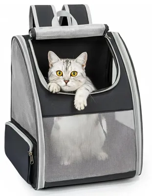 Haustier-Rucksack für kleine Hunde & Katzen bis 7 kg, faltbar, schwarz