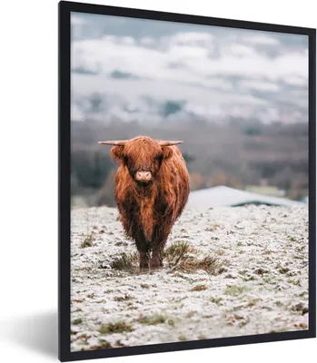 Produktbild von MuchoWow® Gerahmtes Poster Schottischer Highlander - Schnee - Berg 60x80 cm - Poster mit Schwarzem Bilderrahmen Wandposter Rahmen Foto Bilder - Premium - Wanddeko Wohnzimmer