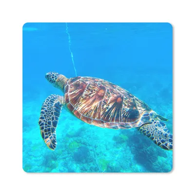 Produktbild von MuchoWow® Mauspad Mousepad Meer - Schildkröte - Wasser 20x20 cm - Mousepads - Maus Mat - Pad - Mausunterlage - Desk Mat - Bureauartikeln