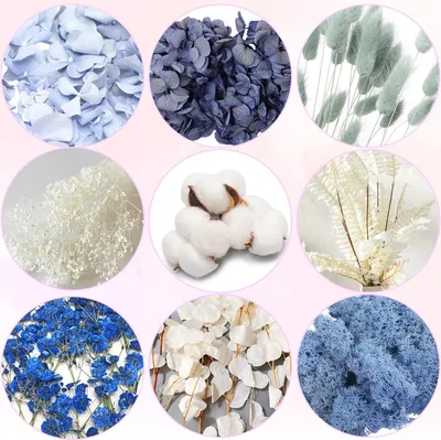 Productafbeelding van Famanu Set gedroogde bloemen - Echte, geplette bloemen - Veelzijdig te gebruiken - 21x14 mm