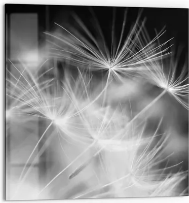 Produktbild von DEQORI Küchenrückwand Glas 60x60 cm 'Pusteblumenflug' Spritzschutz Bad Rückwand Küche
