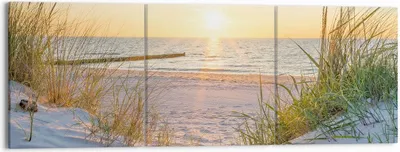 Produktbild von Bild auf Leinwand - Leinwandbild - Düne Strand Meer - 150x50cm - Wand Bild - Wanddeko - Wandbilder - Leinwanddruck - Bilder - Kunstdruck - Wanddekoration - Leinwand bilder - Wandkunst - CA150x50-3989