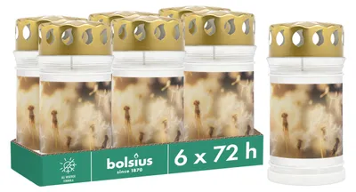 Obrázek produktu pro Bolsius – svíčka na hrob s motivem pampelišky, sada 6 kusů, doba hoření: 3 dny