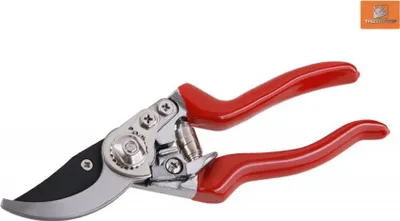 Zdjęcie produktu dla Nożyce ogrodowe Nożyce do gałęzi Nożyce do kwiatów Nożyce do róż do 20 mm