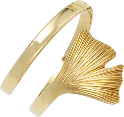 Produktbild von JOBO Damen Ring Ginko 375 Gold Gelbgold teilmattiert Goldring Größe 58