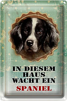 Produktbild von Blechschild Hund 20x30cm in diesem Haus wacht ein Spaniel