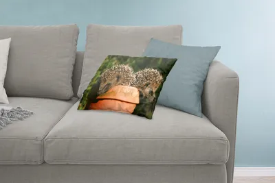 Produktbild von MuchoWow® Zierkissen Sofakissen Wohnzimmer Dekokissen 60x40 cm Zwei Igel auf einem Topf - Kopfkissen - Polster mit Foto