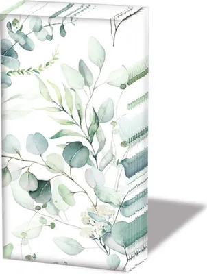Produktbild von Papiertaschentücher "Eucalyptus all over"