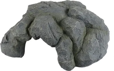 Image de Terra Della Grotte pour reptiles anthracite, taille : XL