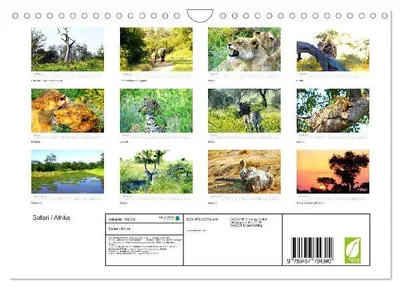 Produktbild von Safari / Afrika (Wandkalender 2026 DIN A4 quer), CALVENDO Monatskalender
