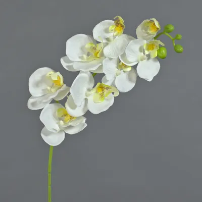 Produktbild von artplants.de Künstliche Blume Phalaenopsis Orchideen Zweig MINA, weiß, 70cm - Deko Orchidee