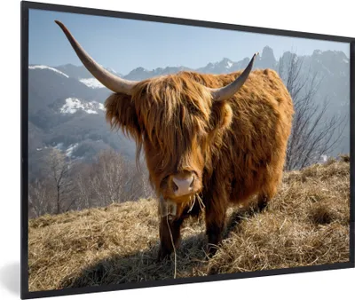 Produktbild von MuchoWow® Gerahmtes Poster Schottischer Highlander - Berg - Schnee 90x60 cm - Poster mit Schwarzem Bilderrahmen Wandposter Rahmen Foto Bilder - Fotorahmen - Foto-Plakat