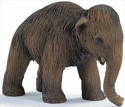 Produktbild von schleich Mammut Baby, 3 Jahr(e), Braun, Kunststoff