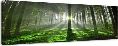Obrázek produktu pro Obraz 120 x 40 cm na plátně z bambusu 5705 - Obrazy/nástěnný obraz/umělecký tisk jsou již zarámované