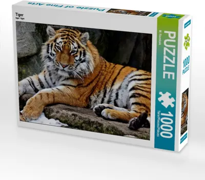 Produktbild von Calvendo Tiger 1000 Teile Puzzle quer 640x480mm, Reznicek M.; 7421925