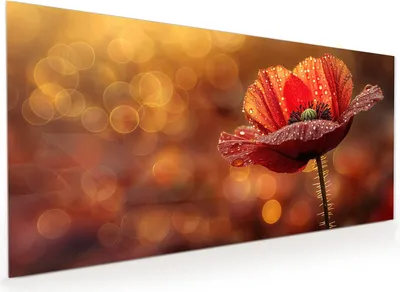 Produktbild von Küchenrückwand Spritzschutz Glas mit Motiv Blühende Mohnblume 40 x 40 cm
