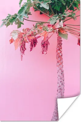 Produktbild von MuchoWow® Poster Palme - Tropisch - Rosa - Sommer 40x60 cm - Plakate für die Wand - Poster Babyzimmer